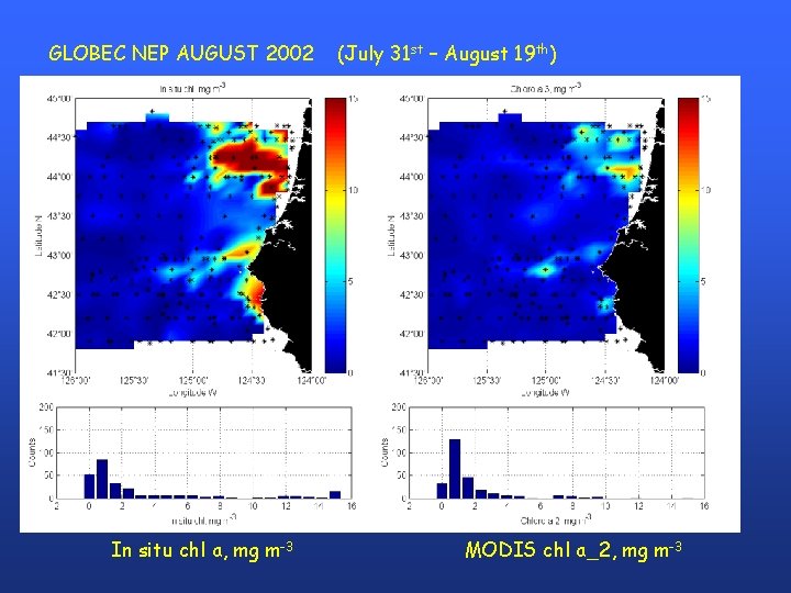 GLOBEC NEP AUGUST 2002 In situ chl a, mg m-3 (July 31 st –