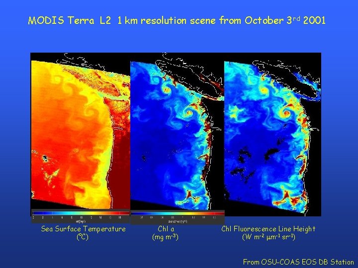 MODIS Terra L 2 1 km resolution scene from October 3 rd 2001 Sea