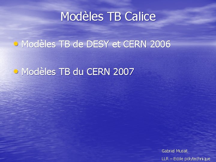 Modèles TB Calice • Modèles TB de DESY et CERN 2006 • Modèles TB