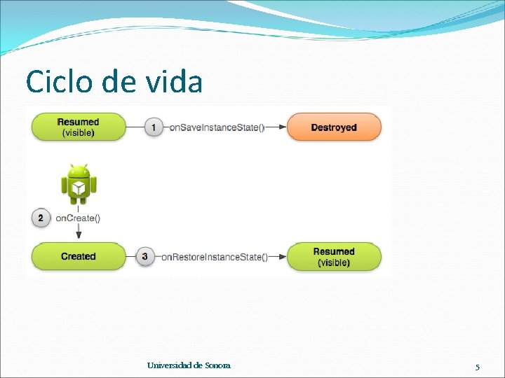 Ciclo de vida Universidad de Sonora 5 