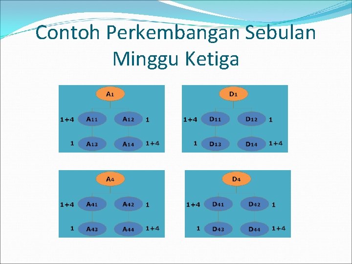 Contoh Perkembangan Sebulan Minggu Ketiga 