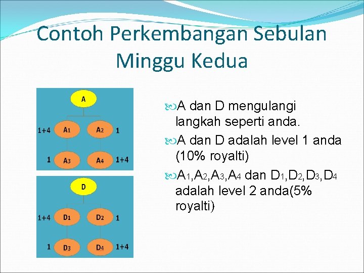 Contoh Perkembangan Sebulan Minggu Kedua A dan D mengulangi langkah seperti anda. A dan