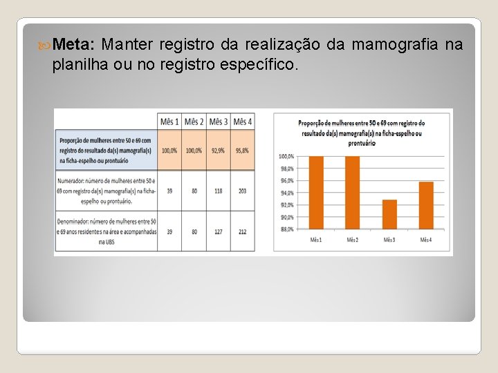  Meta: Manter registro da realização da mamografia na planilha ou no registro específico.