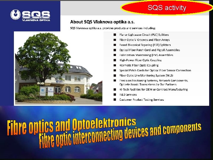 SQS activity 