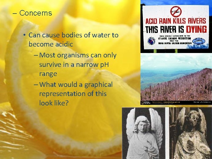 – Concerns • Can cause bodies of water to become acidic – Most organisms