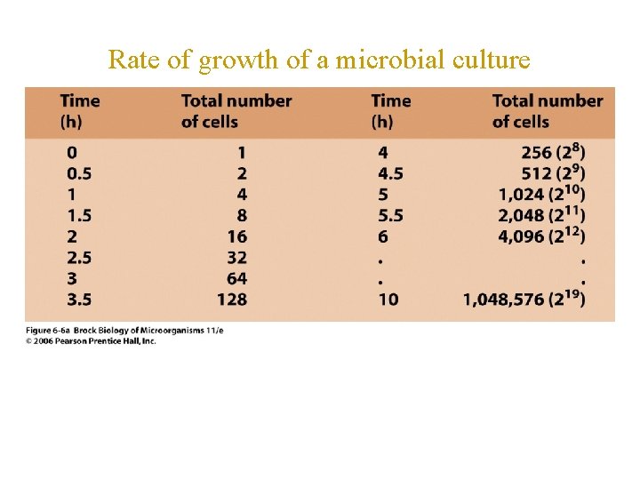 Rate of growth of a microbial culture 