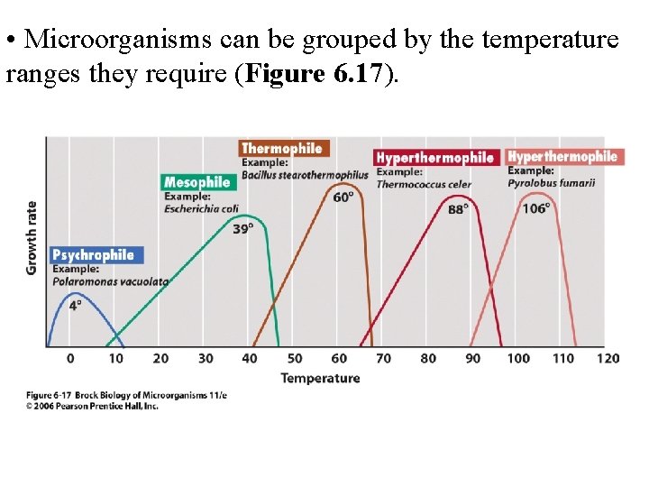  • Microorganisms can be grouped by the temperature ranges they require (Figure 6.