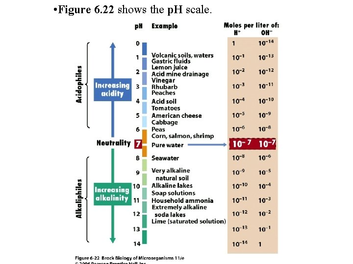  • Figure 6. 22 shows the p. H scale. 