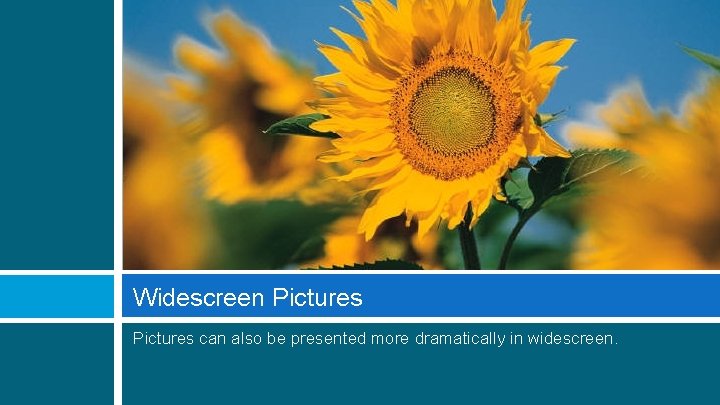 Widescreen Pictures can also be presented more dramatically in widescreen. 