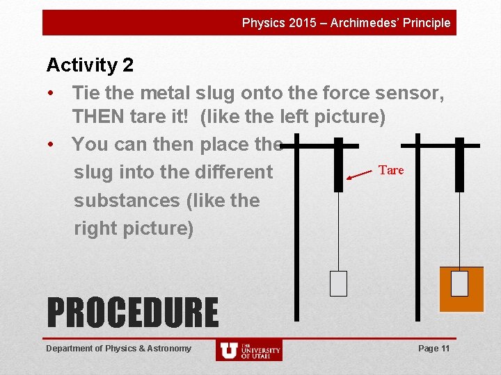 Physics 2015 – Archimedes’ Principle Activity 2 • Tie the metal slug onto the