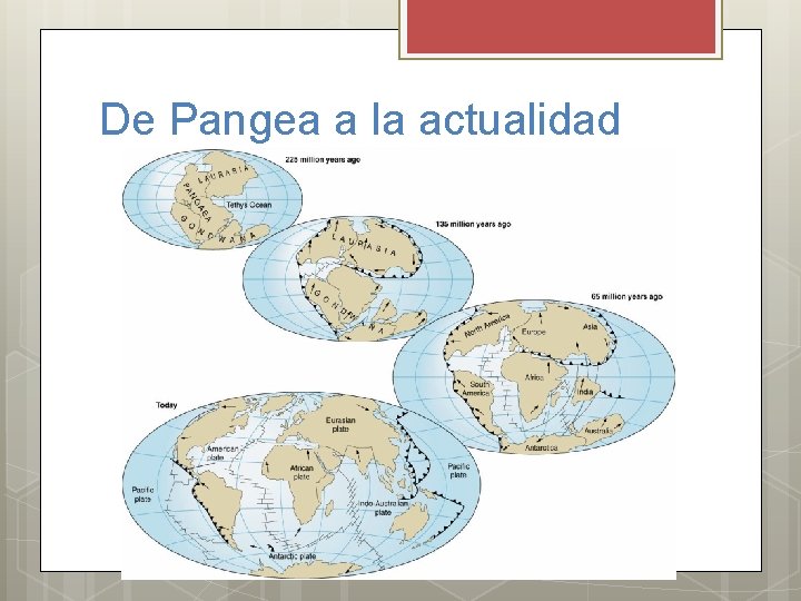 De Pangea a la actualidad 