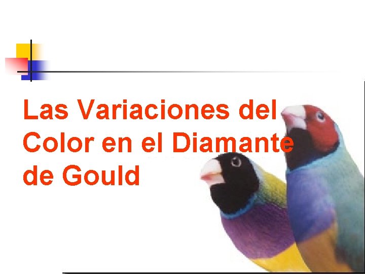 Las Variaciones del Color en el Diamante de Gould 