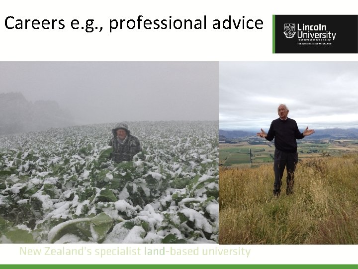 Careers e. g. , professional advice How to grow Brassica in Southland 