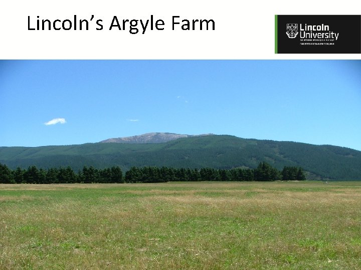 Lincoln’s Argyle Farm 