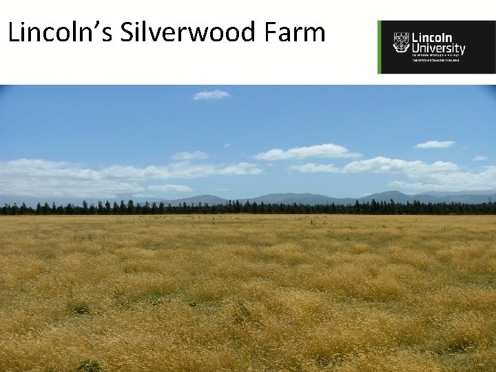Lincoln’s Silverwood Farm 