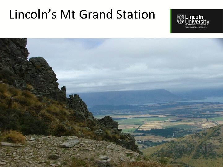 Lincoln’s Mt Grand Station 