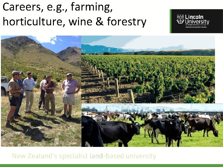Careers, e. g. , farming, horticulture, wine & forestry 