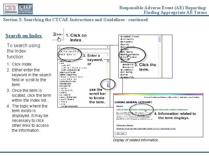 Responsible Adverse Event (AE) Reporting: Finding Appropriate AE Terms Section 3: Searching the CTCAE