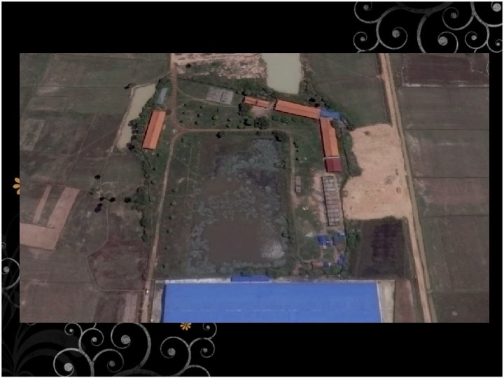 Center Satellite Image 