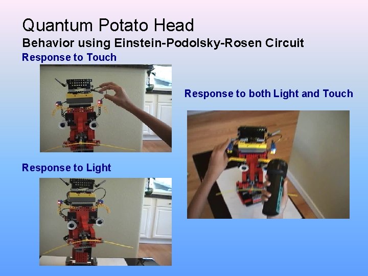 Quantum Potato Head Behavior using Einstein-Podolsky-Rosen Circuit Response to Touch Response to both Light