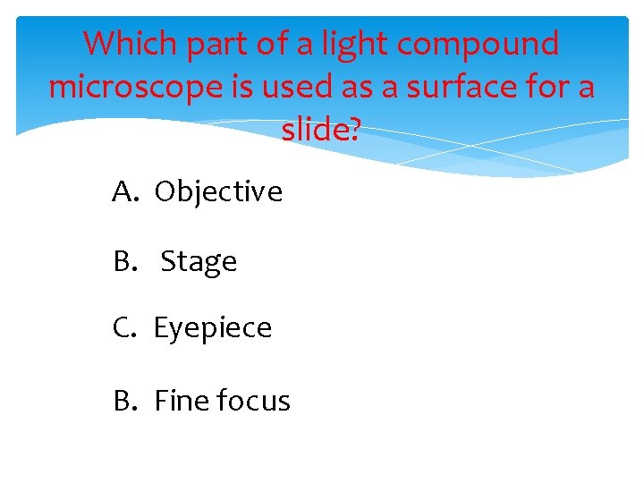 Which part of a light compound microscope is used as a surface for a