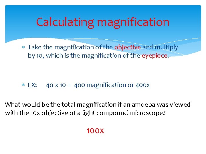 Calculating magnification Take the magnification of the objective and multiply by 10, which is