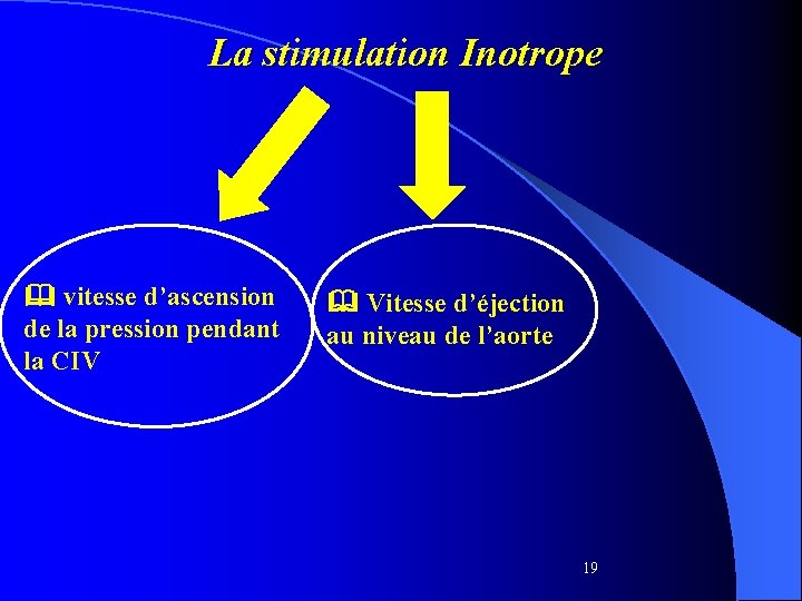 La stimulation Inotrope vitesse d’ascension de la pression pendant la CIV Vitesse d’éjection au