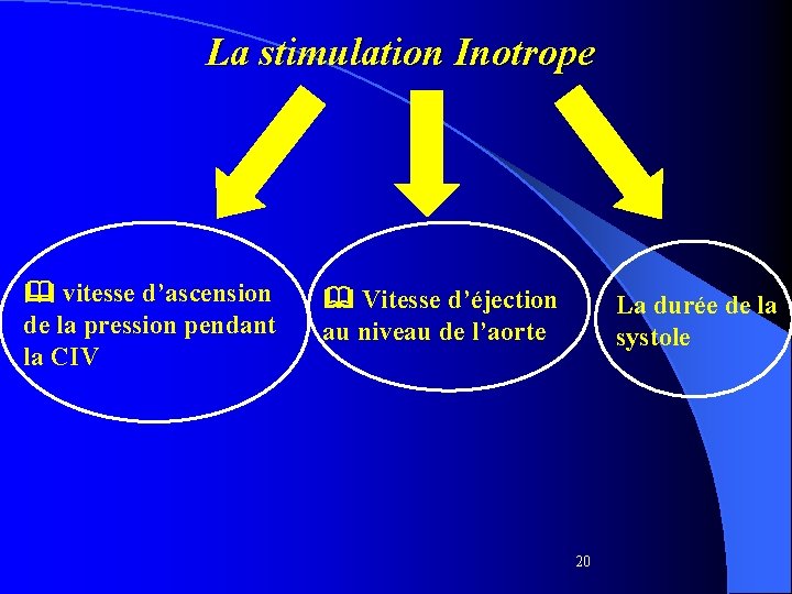 La stimulation Inotrope vitesse d’ascension de la pression pendant la CIV Vitesse d’éjection au