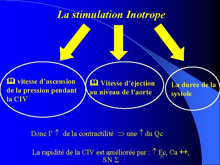 La stimulation Inotrope vitesse d’ascension de la pression pendant la CIV Vitesse d’éjection au