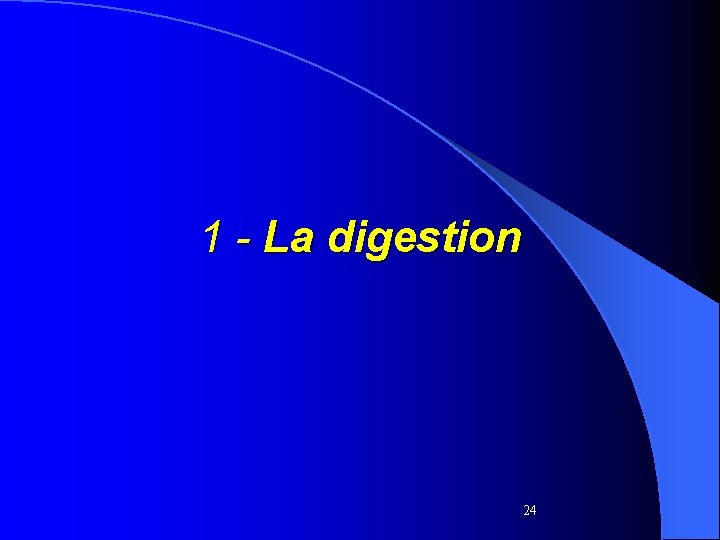 1 - La digestion 24 