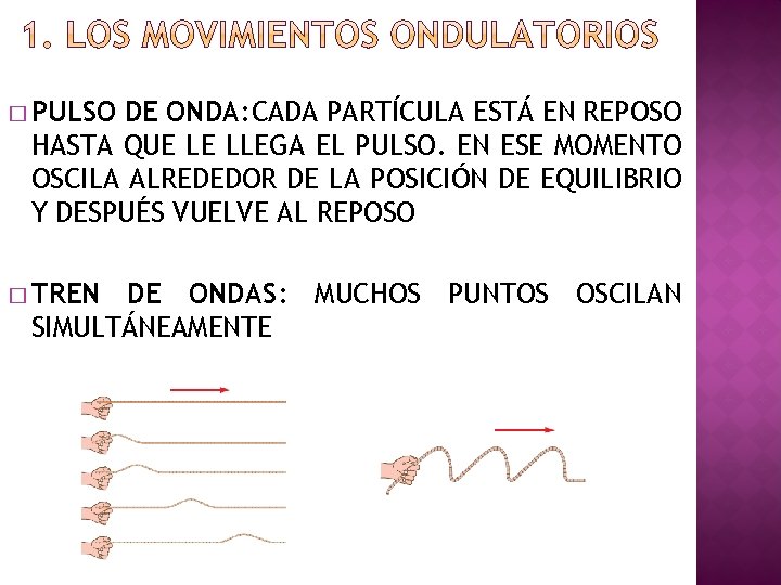 � PULSO DE ONDA: CADA PARTÍCULA ESTÁ EN REPOSO HASTA QUE LE LLEGA EL