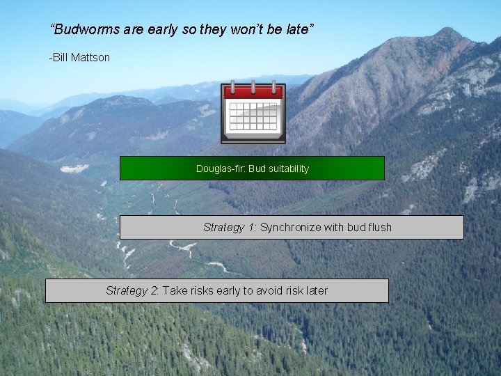 “Budworms are early so they won’t be late” -Bill Mattson Douglas-fir: Bud suitability Strategy