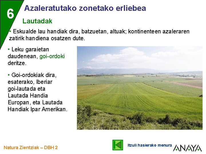 6 Azaleratutako zonetako erliebea Lautadak • Eskualde lau handiak dira, batzuetan, altuak; kontinenteen azaleraren