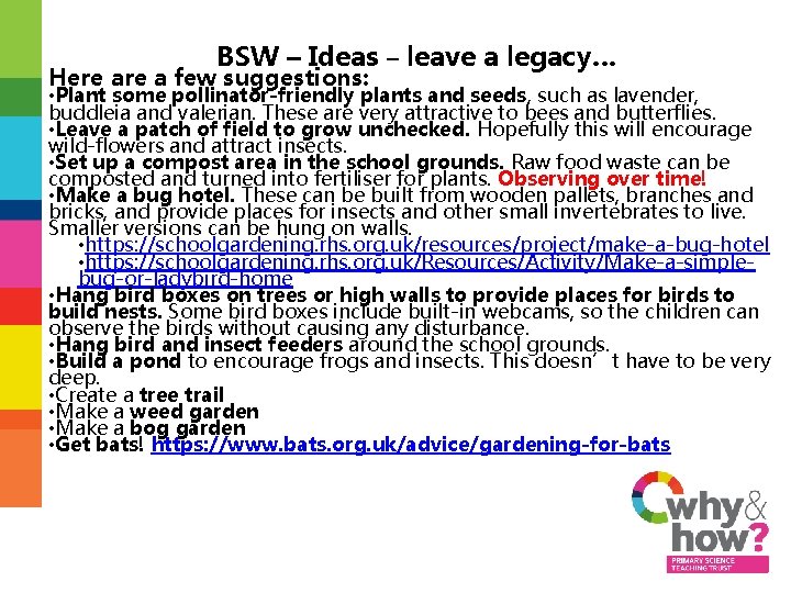BSW – Ideas – leave a legacy… Here a few suggestions: • Plant some