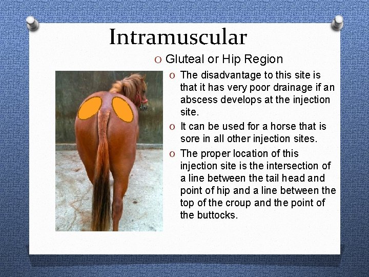 Intramuscular O Gluteal or Hip Region O The disadvantage to this site is that