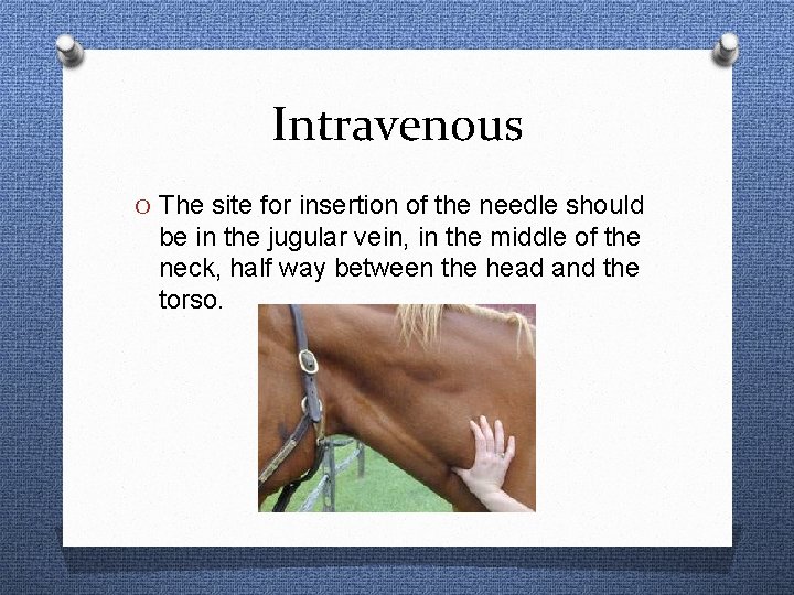 Intravenous O The site for insertion of the needle should be in the jugular