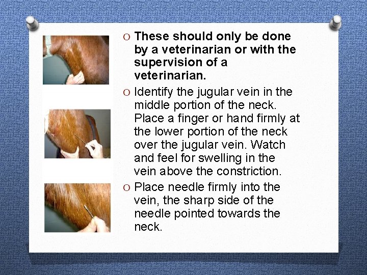 O These should only be done by a veterinarian or with the supervision of