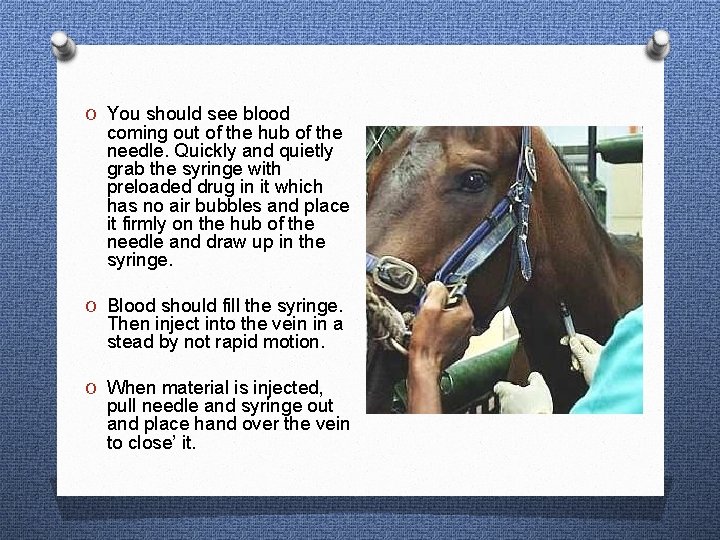 O You should see blood coming out of the hub of the needle. Quickly