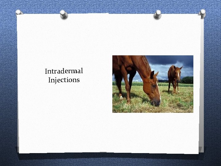 Intradermal Injections 