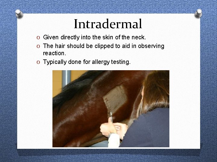 Intradermal O Given directly into the skin of the neck. O The hair should