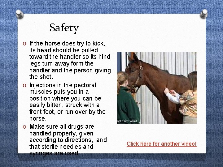 Safety O If the horse does try to kick, its head should be pulled