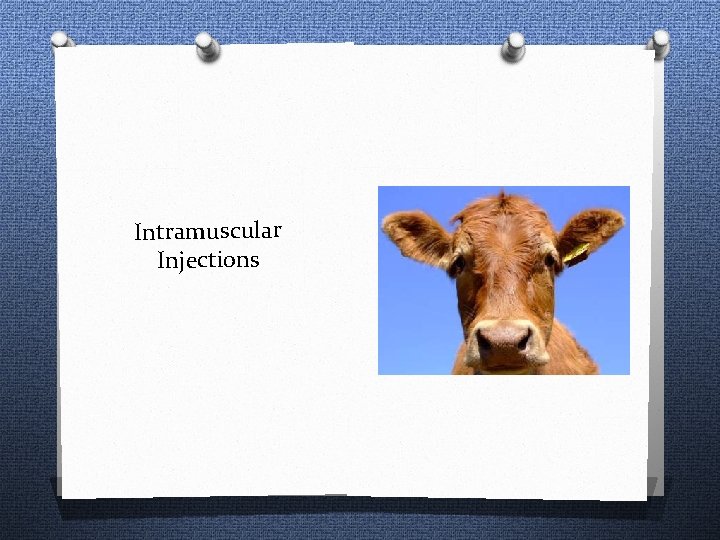 Intramuscular Injections 