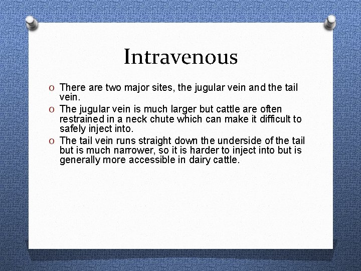 Intravenous O There are two major sites, the jugular vein and the tail vein.