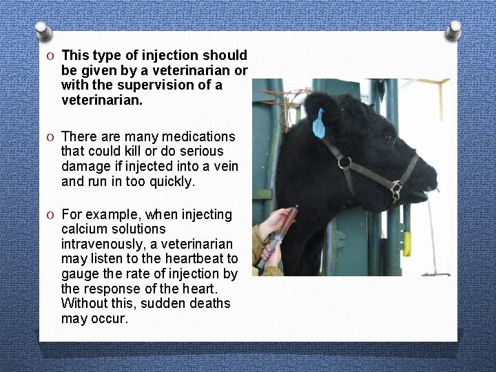 O This type of injection should be given by a veterinarian or with the