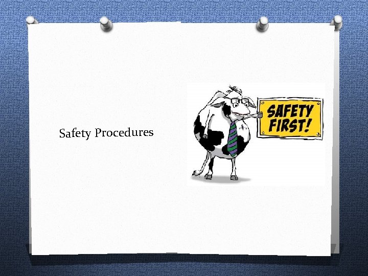 Safety Procedures 
