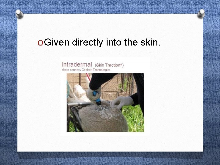 O Given directly into the skin. 