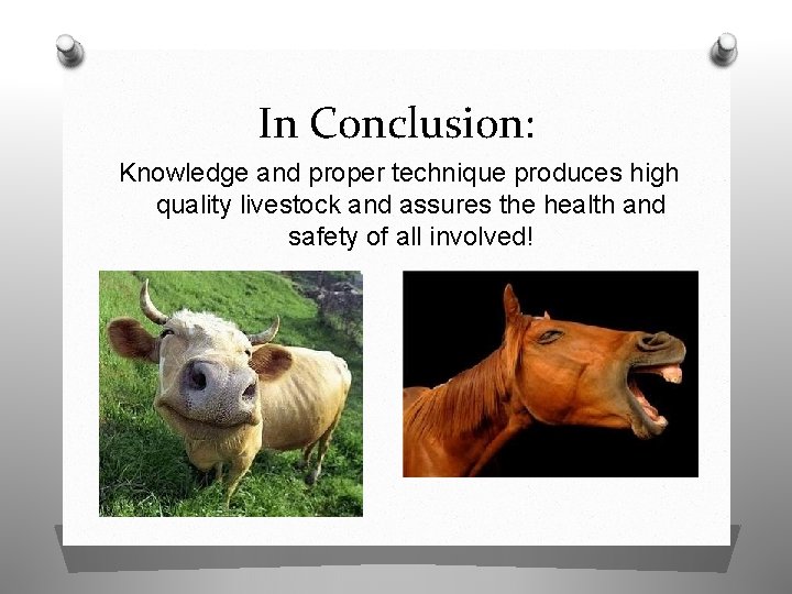 In Conclusion: Knowledge and proper technique produces high quality livestock and assures the health