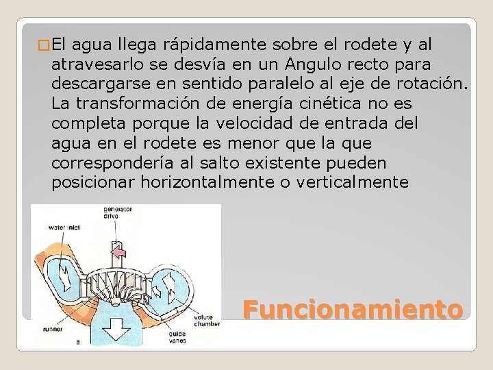 � El agua llega rápidamente sobre el rodete y al atravesarlo se desvía en