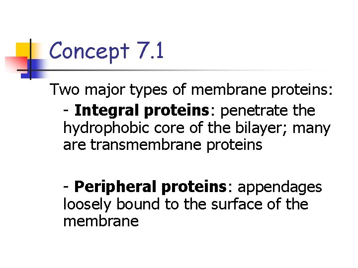 Concept 7. 1 Two major types of membrane proteins: - Integral proteins: penetrate the