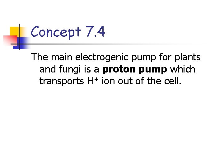 Concept 7. 4 The main electrogenic pump for plants and fungi is a proton